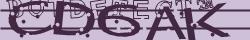 Retype the CAPTCHA code from the image