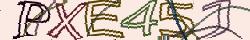 Retype the CAPTCHA code from the image