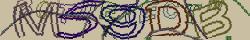 Retype the CAPTCHA code from the image