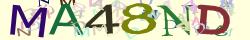 Retype the CAPTCHA code from the image