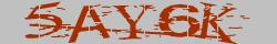 Retype the CAPTCHA code from the image