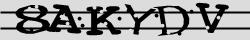 Retype the CAPTCHA code from the image