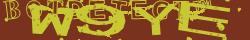 Retype the CAPTCHA code from the image