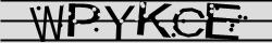 Retype the CAPTCHA code from the image