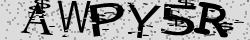 Retype the CAPTCHA code from the image