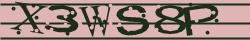 Retype the CAPTCHA code from the image
