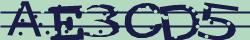 Retype the CAPTCHA code from the image