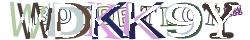 Retype the CAPTCHA code from the image
