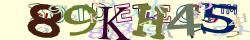 Retype the CAPTCHA code from the image