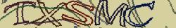 Retype the CAPTCHA code from the image