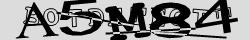 Retype the CAPTCHA code from the image