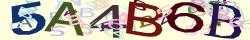 Retype the CAPTCHA code from the image