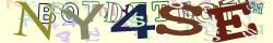 Retype the CAPTCHA code from the image