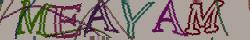 Retype the CAPTCHA code from the image