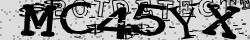 Retype the CAPTCHA code from the image