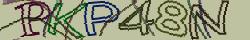 Retype the CAPTCHA code from the image