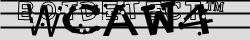 Retype the CAPTCHA code from the image