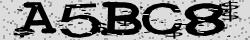 Retype the CAPTCHA code from the image