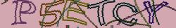 Retype the CAPTCHA code from the image