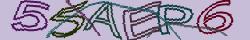 Retype the CAPTCHA code from the image
