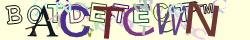 Retype the CAPTCHA code from the image