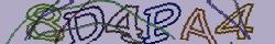 Retype the CAPTCHA code from the image