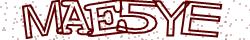 Retype the CAPTCHA code from the image