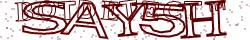 Retype the CAPTCHA code from the image