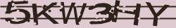 Retype the CAPTCHA code from the image