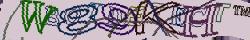Retype the CAPTCHA code from the image