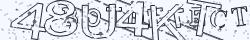 Retype the CAPTCHA code from the image