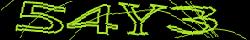 Retype the CAPTCHA code from the image