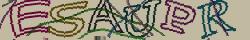 Retype the CAPTCHA code from the image