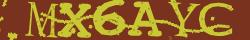 Retype the CAPTCHA code from the image