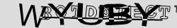 Retype the CAPTCHA code from the image