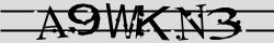 Retype the CAPTCHA code from the image