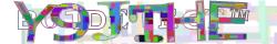 Retype the CAPTCHA code from the image