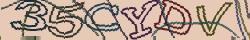 Retype the CAPTCHA code from the image