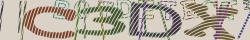 Retype the CAPTCHA code from the image