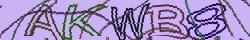 Retype the CAPTCHA code from the image