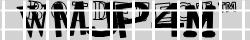 Retype the CAPTCHA code from the image