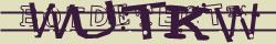 Retype the CAPTCHA code from the image