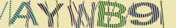 Retype the CAPTCHA code from the image