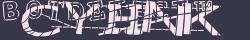 Retype the CAPTCHA code from the image