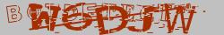 Retype the CAPTCHA code from the image