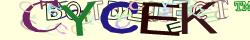 Retype the CAPTCHA code from the image
