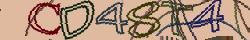 Retype the CAPTCHA code from the image