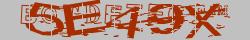 Retype the CAPTCHA code from the image
