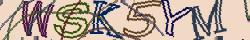 Retype the CAPTCHA code from the image