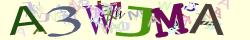 Retype the CAPTCHA code from the image